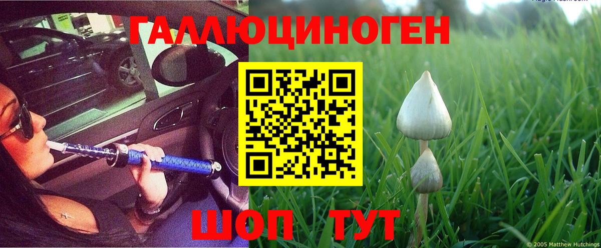 Псилоцибиновые грибы ЛСД  Вход с VPN  Тосно 